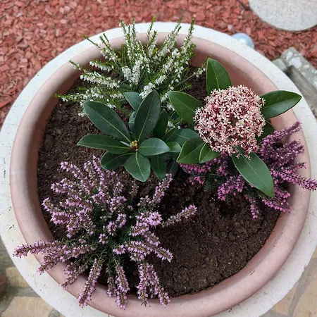 In 54058 بيت للعطل