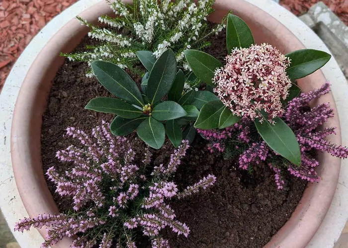 In 54058 Casa de Férias