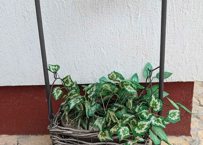 Casa de Férias In 54058 *